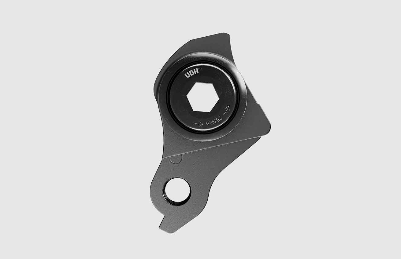 What is UDH hanger?