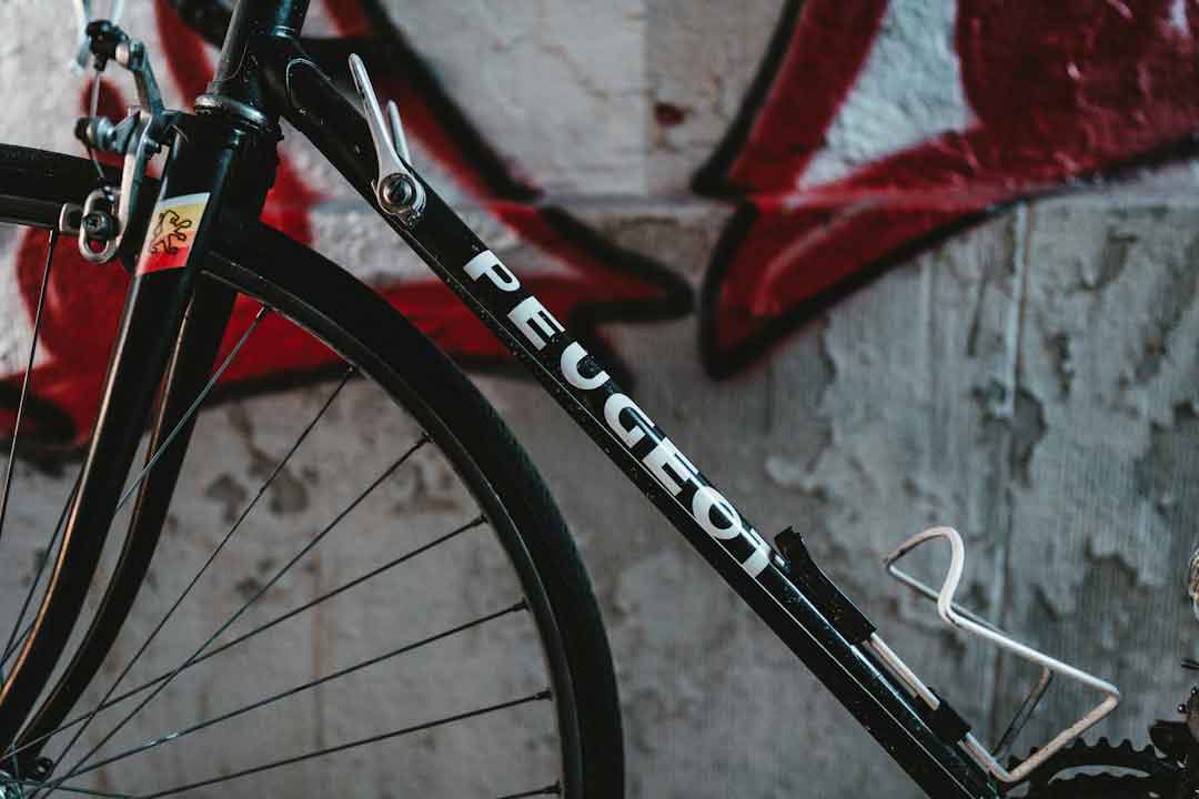 carbon_bike_selection