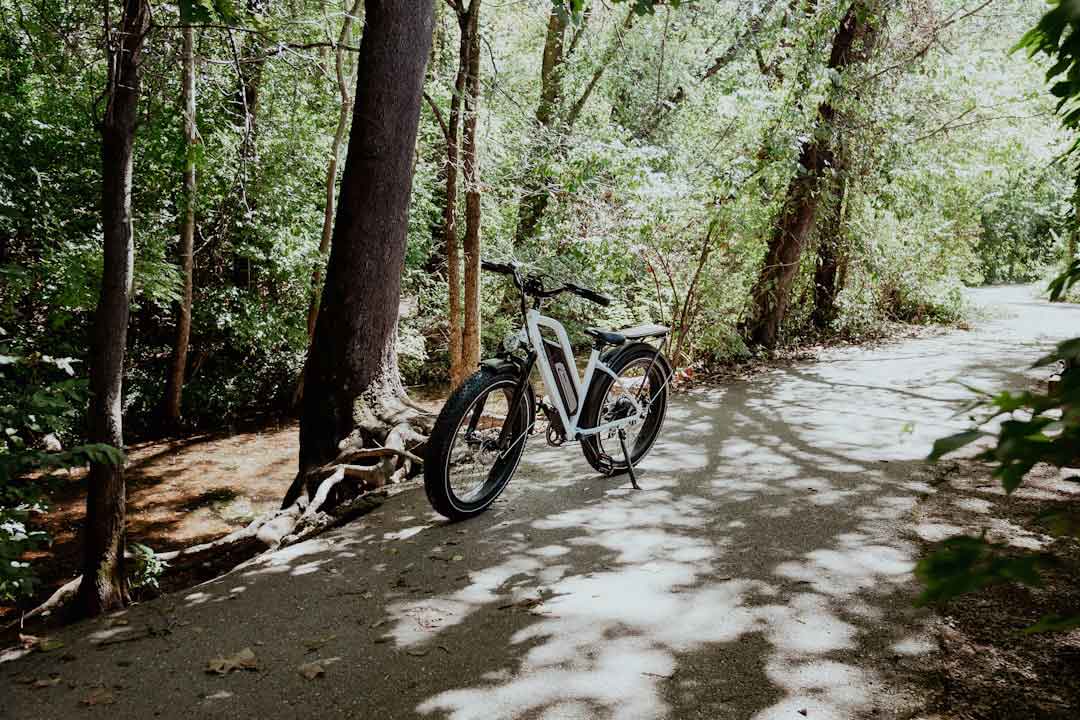 gravel bike on a trail