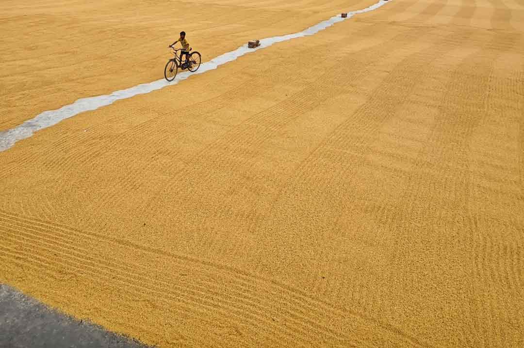 cyclist riding on a gravel path