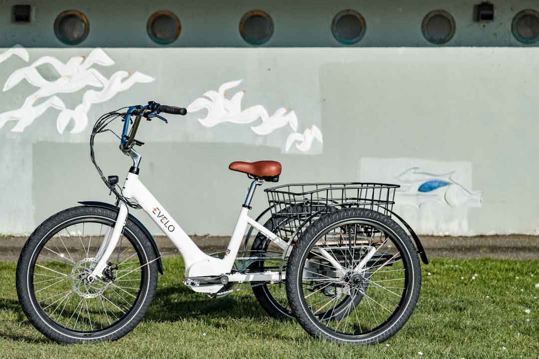 Eco-friendly transportation with foldable e-bikes
