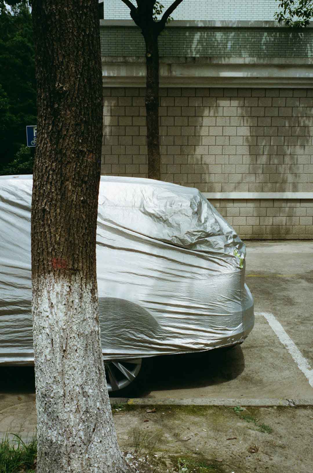 car_wrap_installation