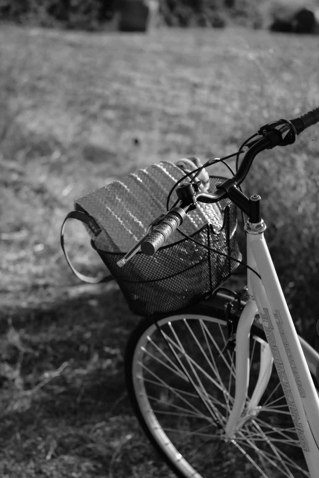 Revelate Designs Tangle frame bag on a gravel bike