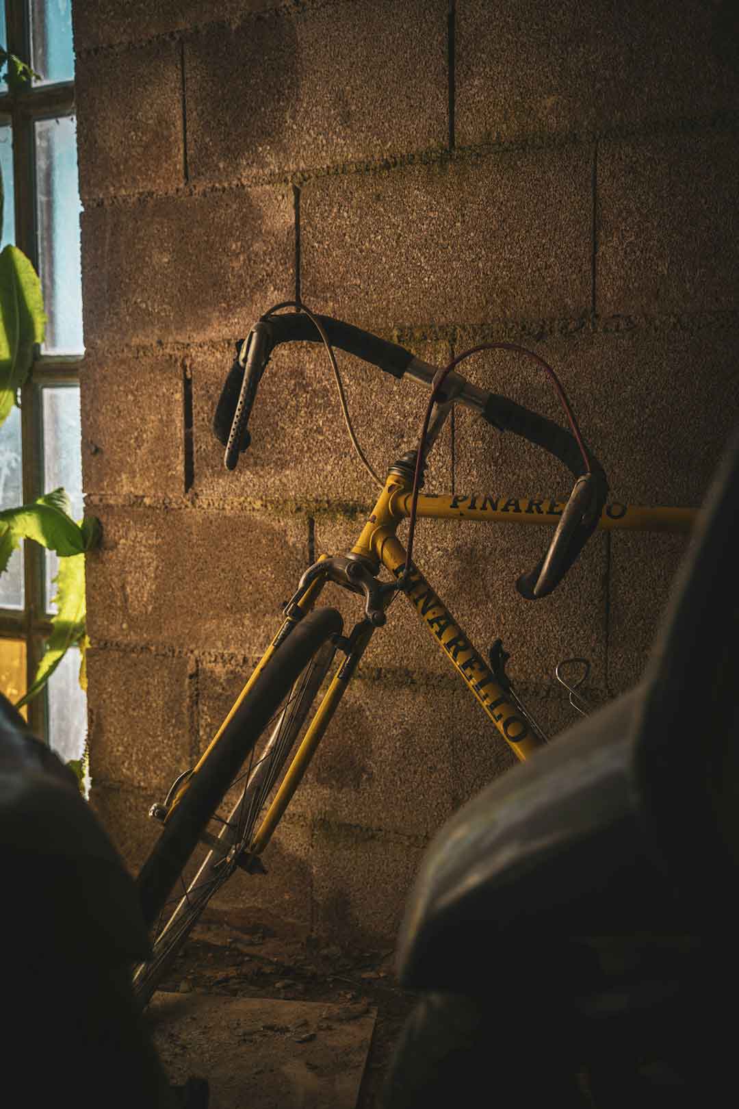 Pinarello bike frame