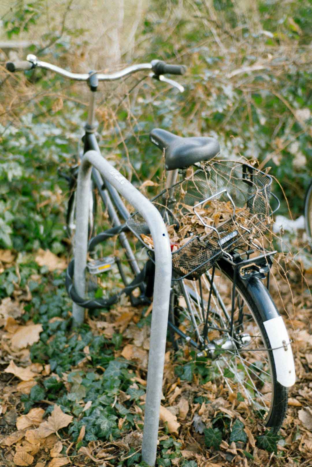 Gravel Bike with Accessory Mounts