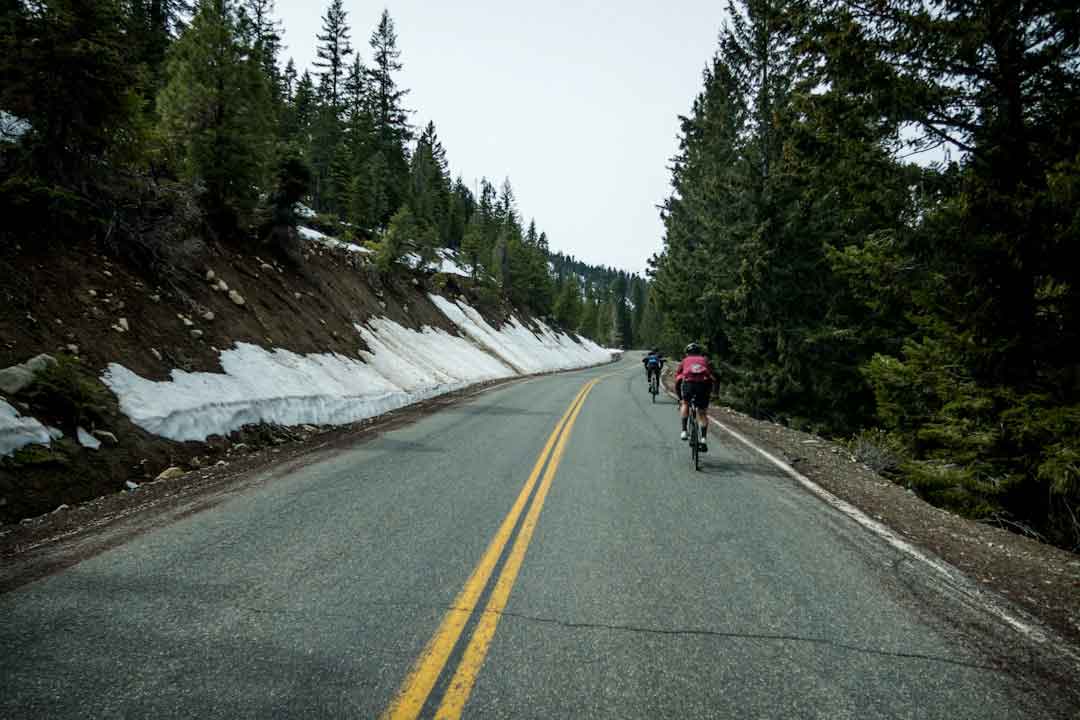 Giant mountain bike lineup
