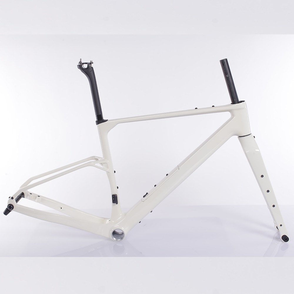 T47 Bracket 420mm Fork Chinese New T1000 Carbon Aero Design Gravel Bike Frame FM326